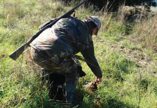 Caccia alla Stanziale